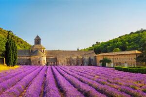 Öntapadó fotótapéta Provence levendulamezőkkel