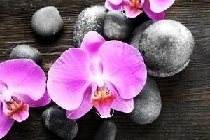 Fotótapéta gyönyörű orchidea és kövek