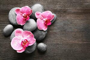 Öntapadó fotótapéta kompozíció orchidea virágokkal