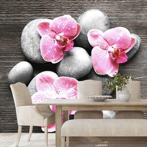 Öntapadó fotótapéta kompozíció orchidea virágokkal