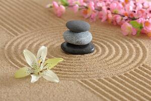 Fotótapéta Zen kert és kövek a homokban