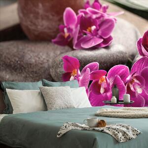 Öntapadó fotótapéta csodás orchidea Zen kövekkel