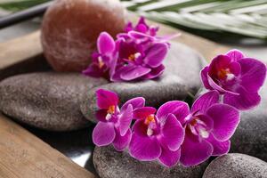 Fotótapéta csodás orchidea Zen kövekkel