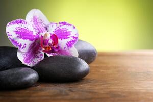 Fotótapéta orchidea és fekete kövek