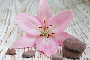 Fotótapéta rózsaszín liliom és Zen kövek