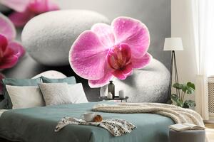 Öntapadó fotótapéta orchidea virágok fehér köveken