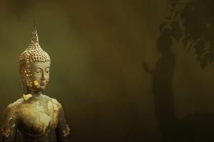 Tapéta Buddha tükörképe