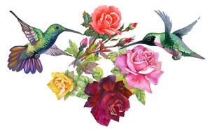 Tapéta kolibri virágokkal
