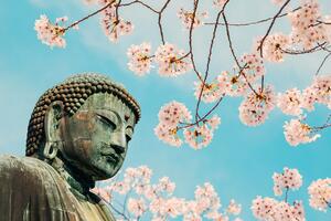 Tapéta Buddha szobor a cseresznyefa alatt