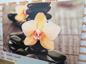 Kép sárga orchidea és Zen kövek