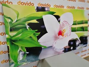 Kép japán orchidea japán témával