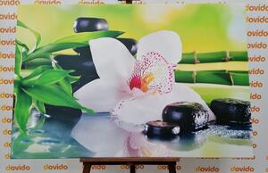 Kép japán orchidea