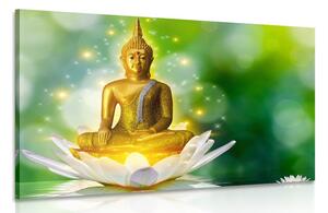 Kép arany Buddha lótusz virágon