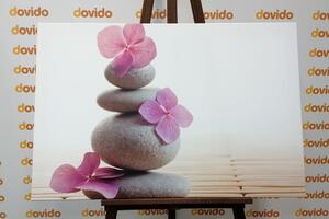 Kép kövek egyensúlya és keleti virágok