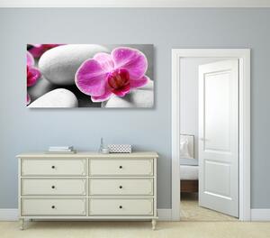 Kép orchidea virágok fehér köveken