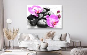Kép orchidea és fekete kövek csodás összhangja