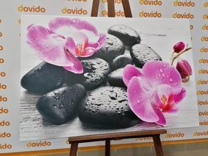 Kép orchidea és fekete kövek csodás összhangja