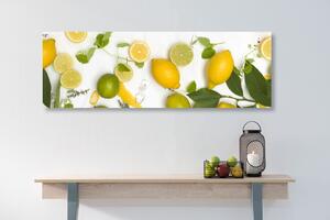 Kép citrusfélék