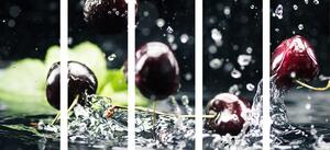5-részes kép cseresznye vízben