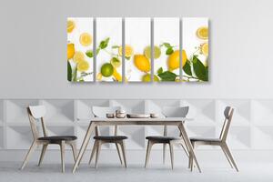 5-részes kép citrusfélek