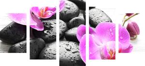 5-részes kép kövek és virágok
