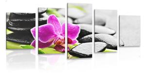 5-részes kép wellness csendélet lila orchideával