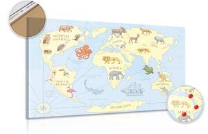 Parafa kép világ térkép állatokkal