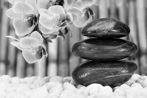 Fotótapéta Zen kert fekete fehérben