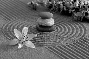Fotótapéta fekete fehér Zen kert és kövek a homokban