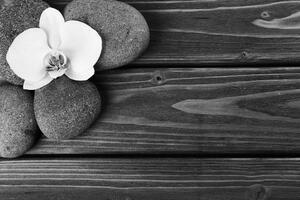 Öntapadó fotótapéta wellness kövek és orchidea fa háttéren