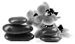 Fotótapéta fekete fehér SPA kövek és orchidea