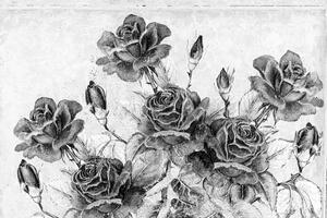 Tapéta vintage rózsa csokor fekete fehérben