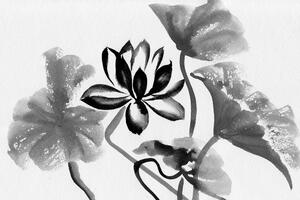 Öntapadó tapéta akvarell lótuszvirág fekete-fehérben
