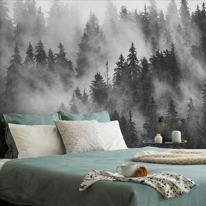 Fotótapéta hegyek a ködben fekete fehérben