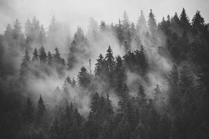 Öntapadó fotótapéta hegyek a ködben fekete fehérben