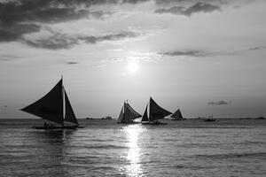 Öntapadó fotótapéta naplemente a tengernél fekete fehérben