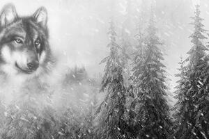 Öntapadó tapéta farkas a havas tájban fekete fehérben