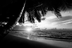 Fotótapéta napkelte a karibi tengerparton fekete fehérben