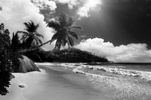 Fotótapéta gyönyörű strand a Seychelle-szigeteken fekete fehérben
