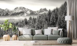 Öntapadó fotótapéta fekete fehér havas hegyek