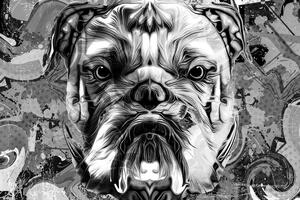 Tapéta bulldog fekete fehérben - 150x100