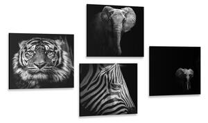 Képszett állatok fekete-fehér változatban - 4x 40x40