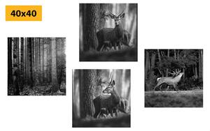 Képszett erdei állatok fekete-fehér változatban - 4x 40x40