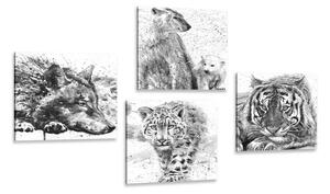 Képszett állatok fekete-fehér akvarell változatban