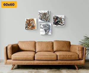 Képszett állatok csodálatos akvarell változatban - 4x 40x40