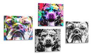 Képszett kutyák pop art stílusban