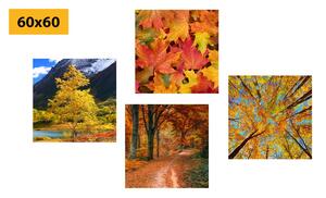Kép szett őszi természet élénk színekben