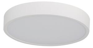 Pandino LED általános mennyezeti lámpa