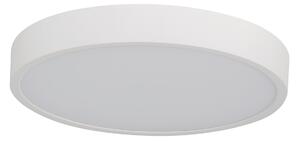 Pandino LED általános mennyezeti lámpa