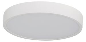 Pandino LED általános mennyezeti lámpa